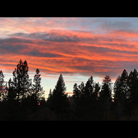 Meet your Posher, Cathy - Picture 2 of 2